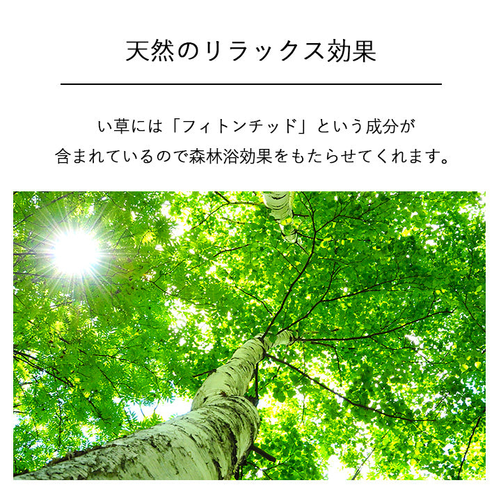 お部屋に置くだけで消臭効果を発揮してくる、い草そのものをいかした消臭機能付きの観葉植物
