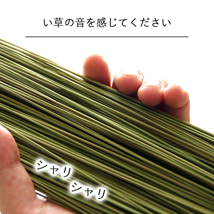 お部屋に置くだけで消臭効果を発揮してくる、い草そのものをいかした消臭機能付きの観葉植物