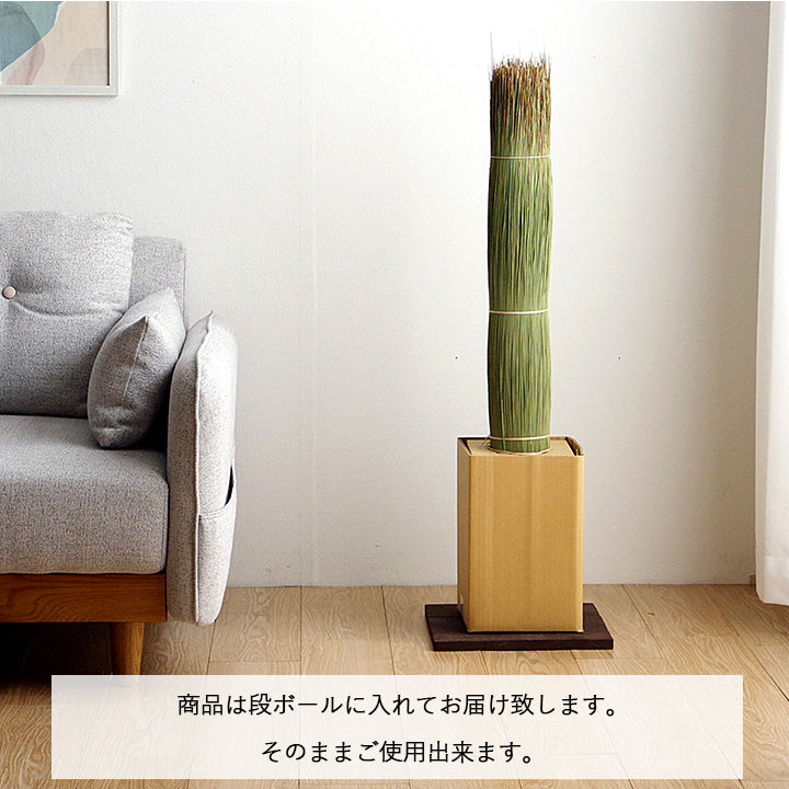 お部屋に置くだけで消臭効果を発揮してくる、い草そのものをいかした消臭機能付きの観葉植物
