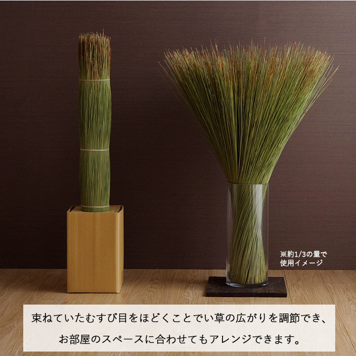 お部屋に置くだけで消臭効果を発揮してくる、い草そのものをいかした消臭機能付きの観葉植物