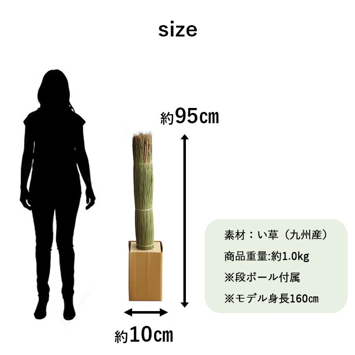 お部屋に置くだけで消臭効果を発揮してくる、い草そのものをいかした消臭機能付きの観葉植物