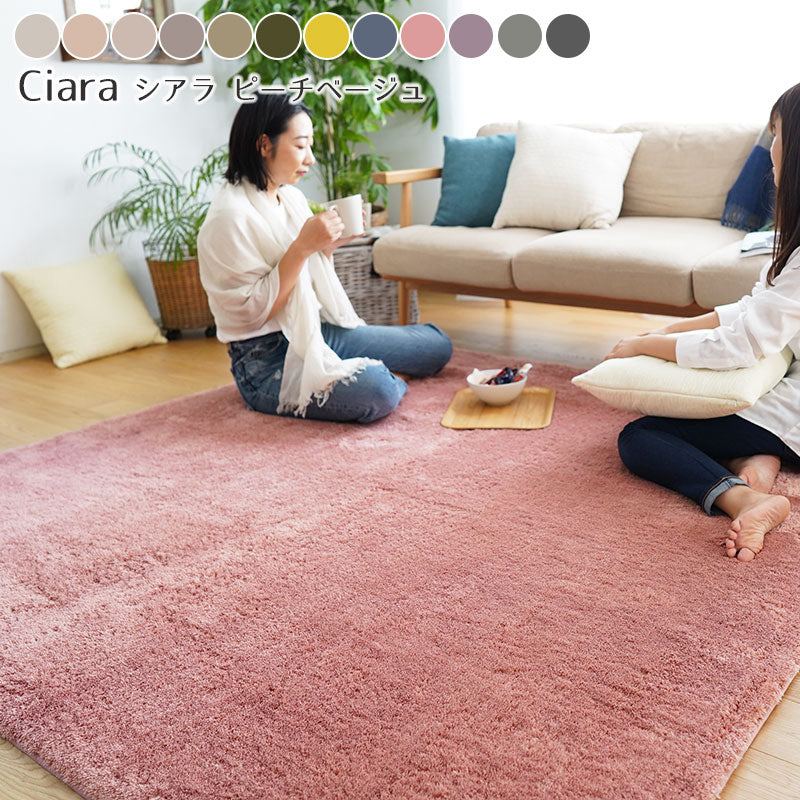 ふんわり、とろけるやさしい触り心地!洗えるマイクロファイバーラグ Ciara - シアラ