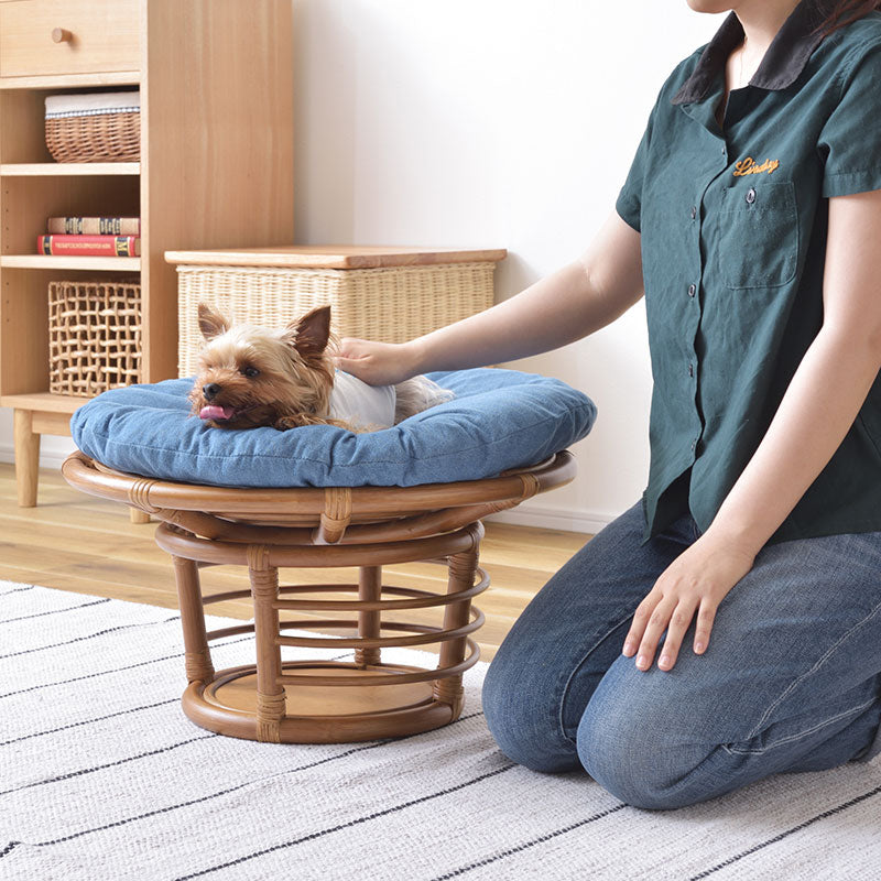 ペットはもちろん人も座ることができるペットスツール