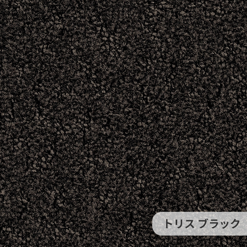 カット&ループパイルによって浮かび上がる柄から生まれる深い品格 ナイロンカーペット Toris - トリス ブラック