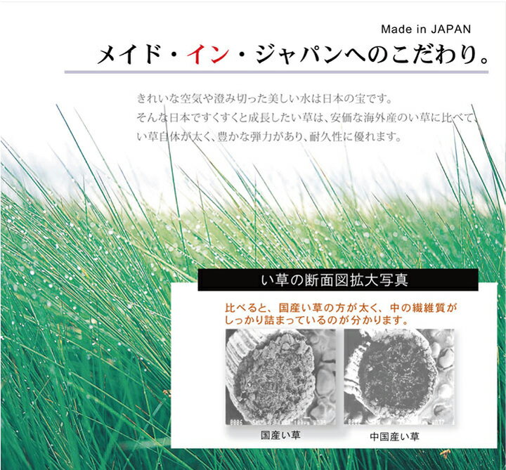 和室も洋室も簡単模様替え 純国産い草花ござカーペット ラビアンス