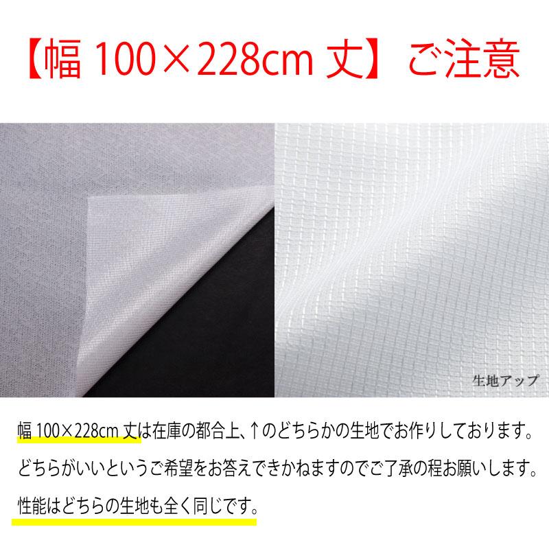 目隠し効果でプライバシーガード!さらに遮熱効果つきの遮像レースカーテン!エコリエ ecolier(1枚入り)