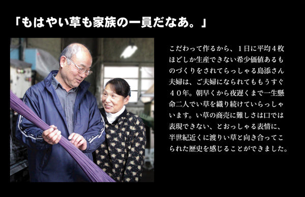 大胆な花柄が織り成す高級感ある純国産袋織い草ラグカーペット DXなでしこ 裏面:不織布タイプ