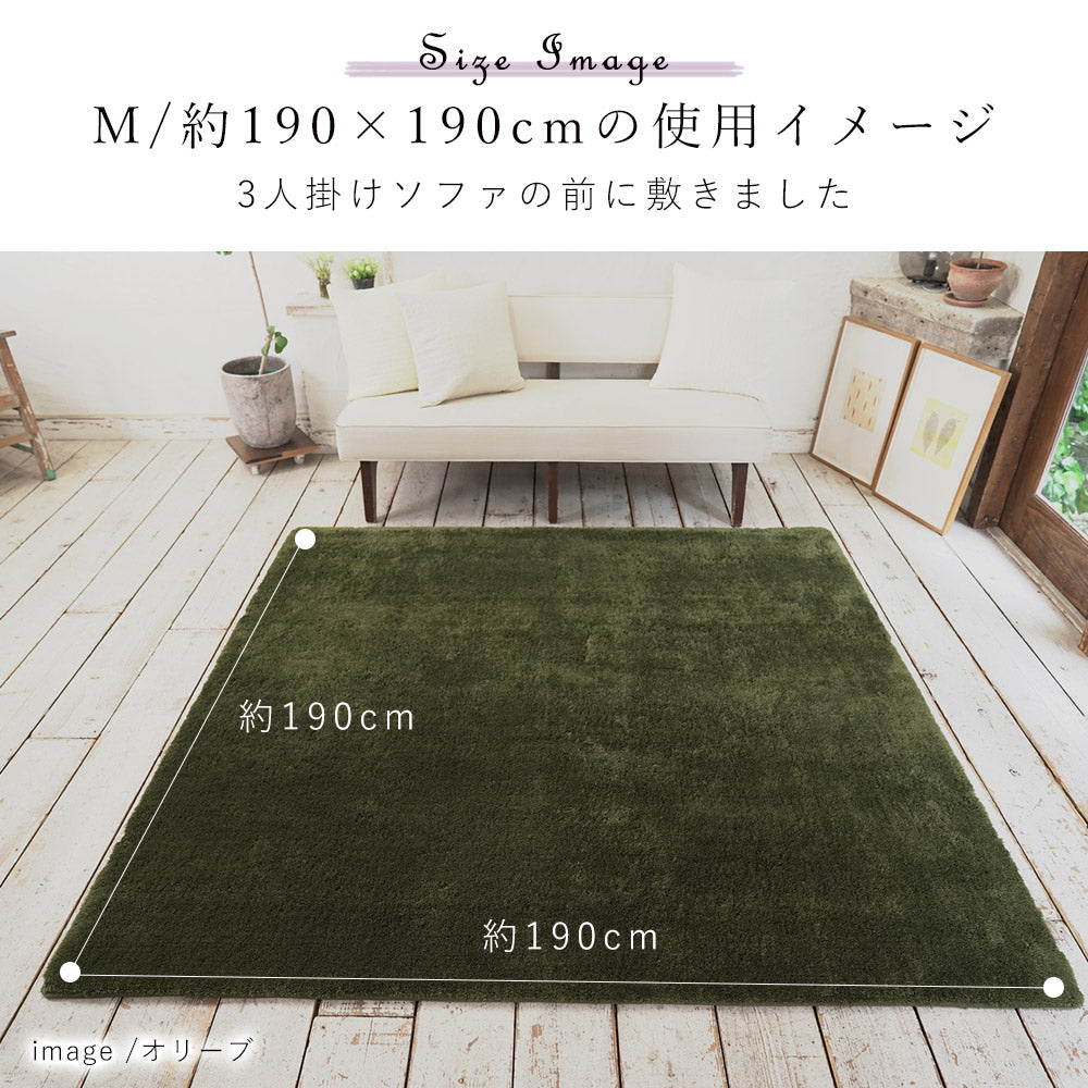 ふんわり、とろけるやさしい触り心地!洗えるマイクロファイバーラグ Ciara - シアラ