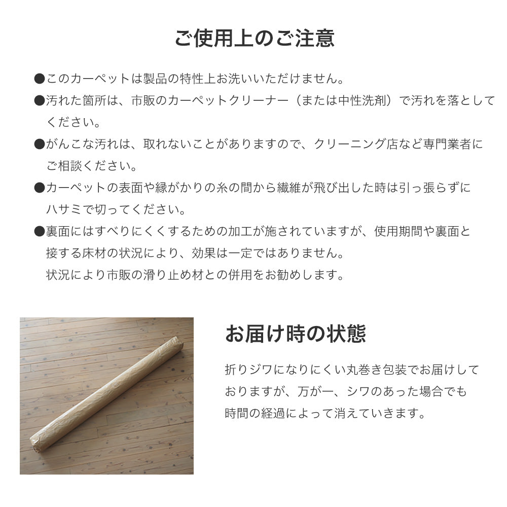 光のプリズムをイメージしたシンプルな小紋柄 日本製防ダニ加工のついたアレルブロックオールシーズンシンプルラグ シーン