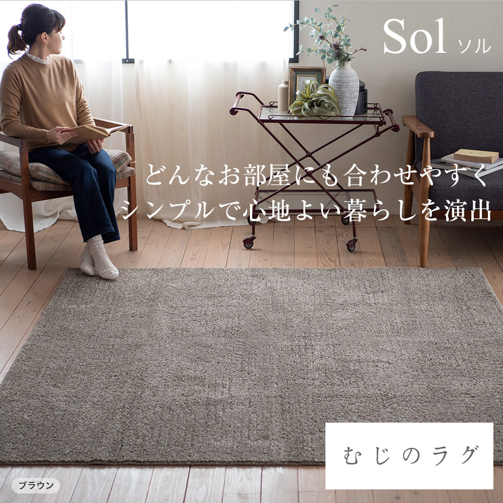 日本製防ダニ加工のついたアレルブロックオールシーズンシンプル洗える無地ラグ ソル【JAN:4549781289915】