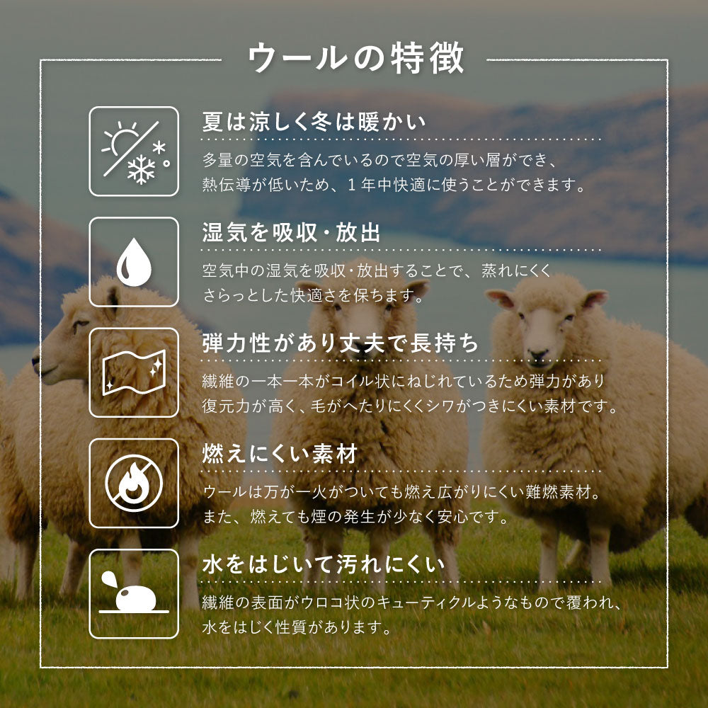 ギャッベ 玄関マット ウール 手織り絨毯 タッセル 伝統的 トラディショナル シンプル モダン グリーン レッド