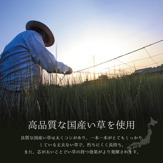 鮮やかな染めい草を使用した3色のストライプ柄と、ジグザグのシェブロン風織り模様がおしゃれなデザインは、北欧インテリアやナチュラルインテリアにもぴったりで上質な国産い草のみを使用した国産のい草ラグ レーヴ