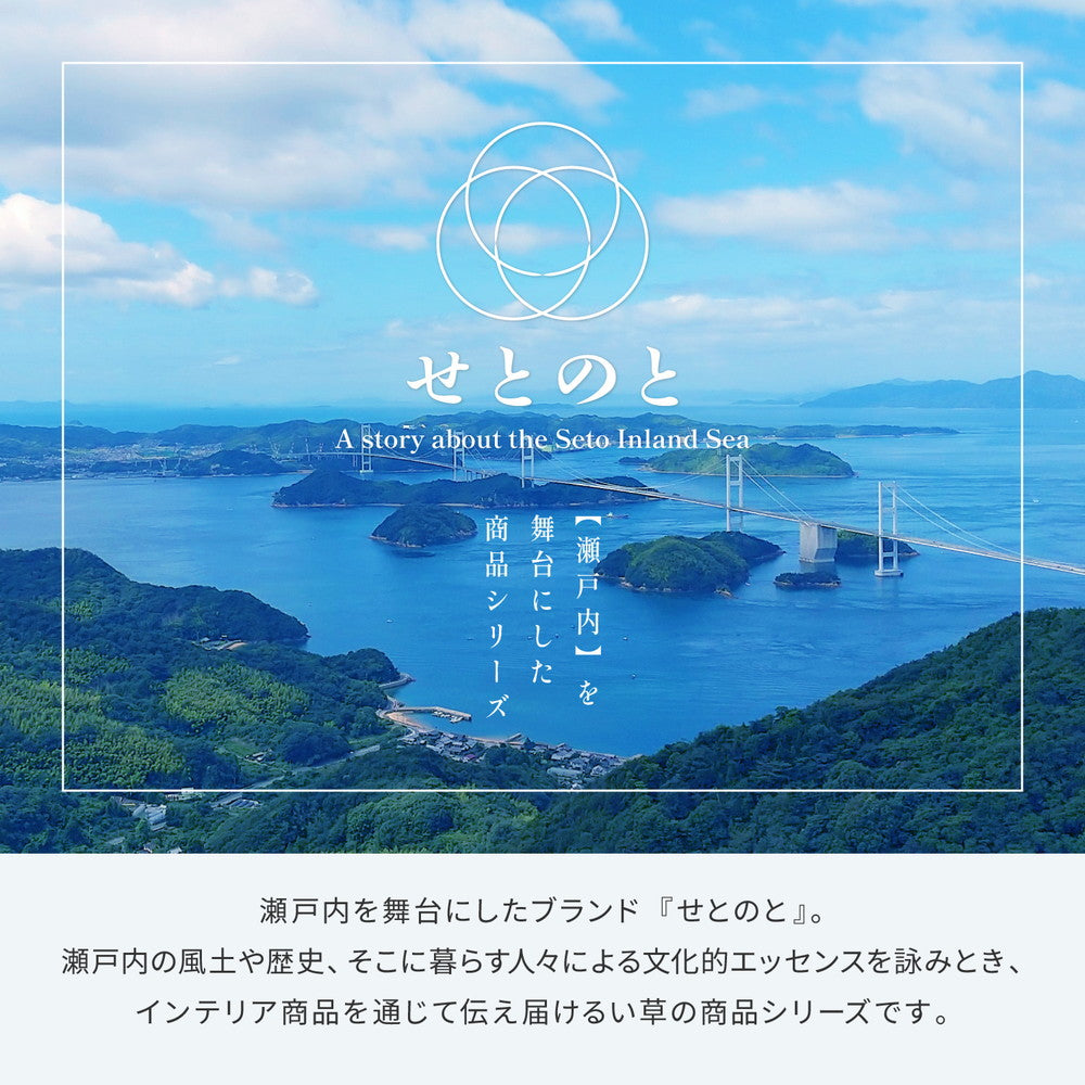 国産い草ラグ（裏貼り）　せとのと　凪　約80×160cm