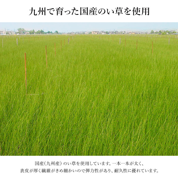 純国産 天然素材 クッション性のある滑り止め付きい草上がり框玄関マット 『Fなでしこ 上がり框』 35×90cm 35×120cm