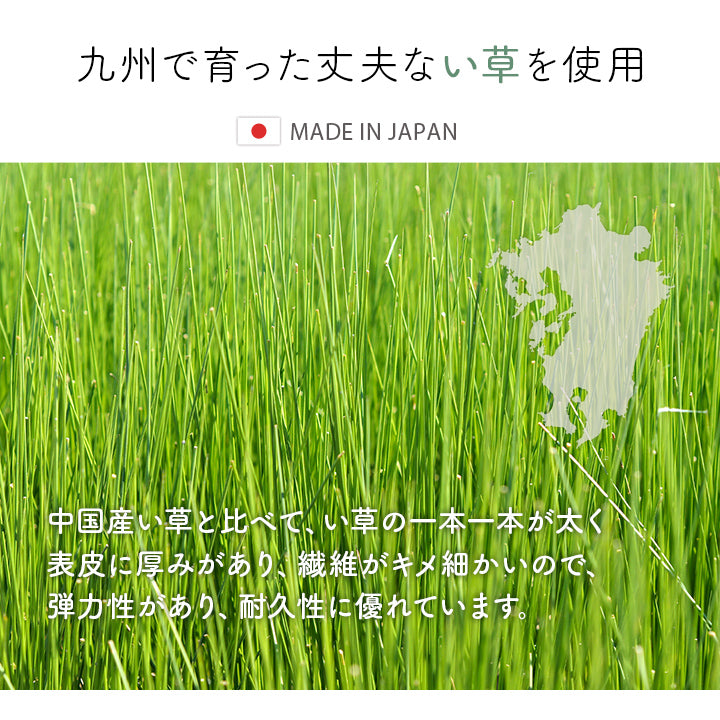 純国産 ずれにくい 消臭効果のあるさらさらキリム柄い草玄関マット 『Ｆピオス』 60×90cm 70×120cm