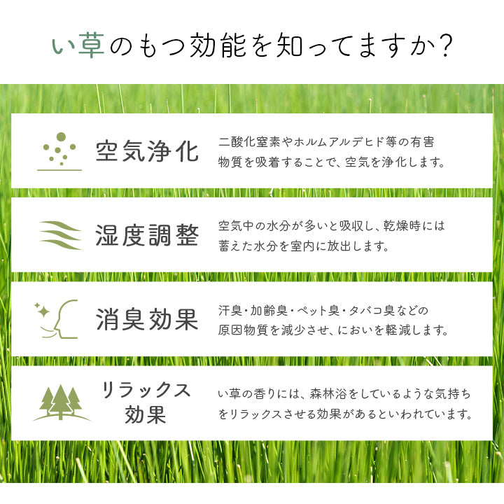 純国産 ずれにくい 消臭効果のあるさらさらキリム柄い草玄関マット 『Ｆピオス』 60×90cm 70×120cm