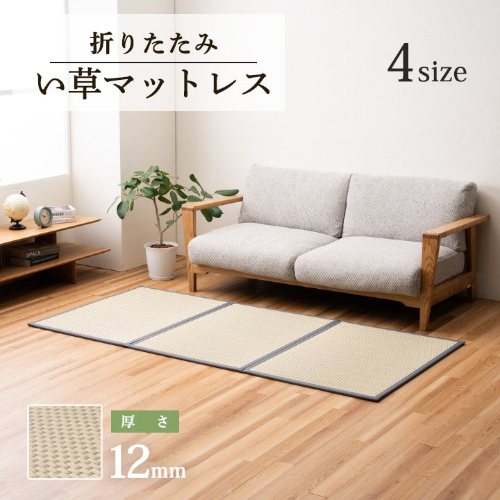 日本製 パッと広げるだけ！クッション性のある置き畳マットレス　3連　4サイズ
