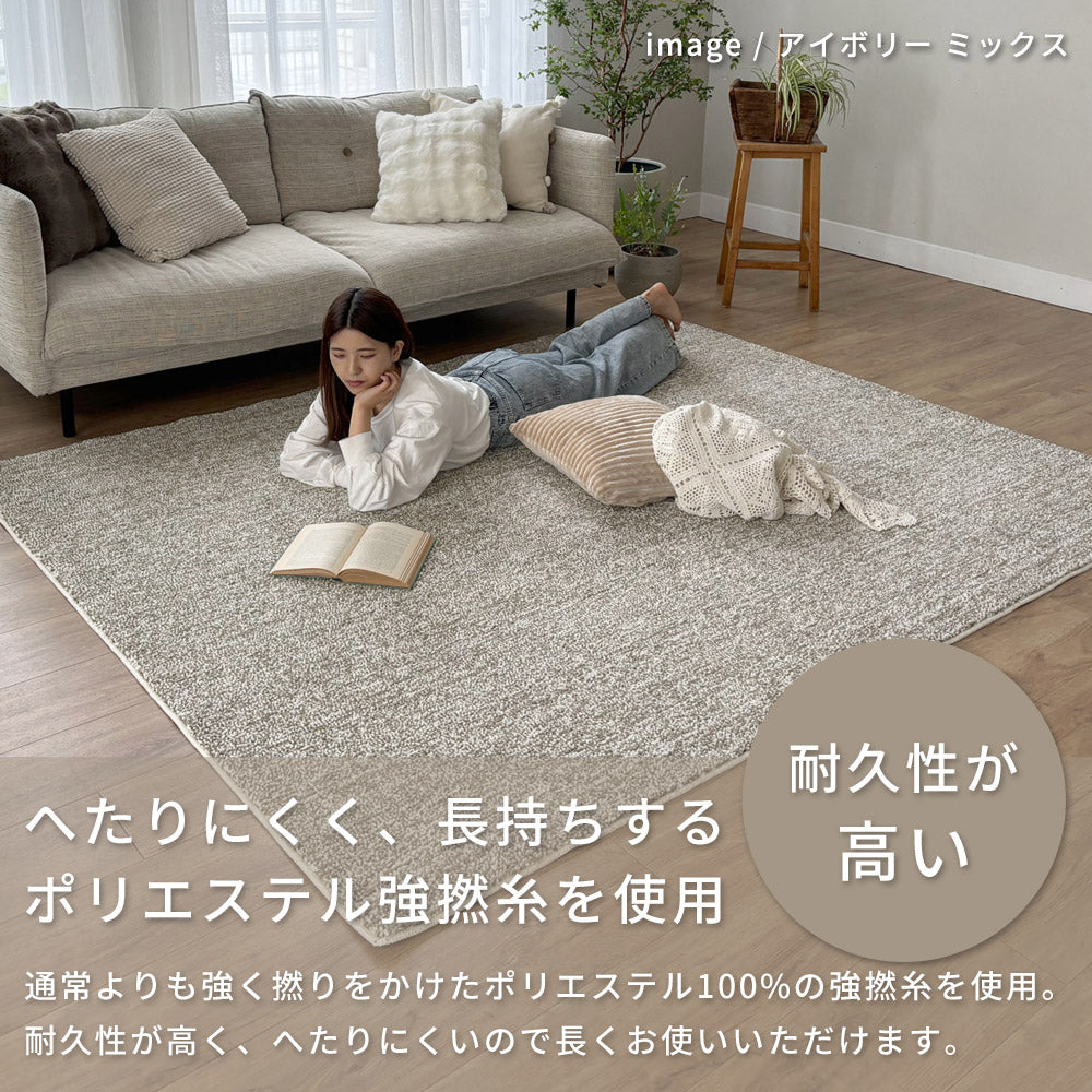 洗える抗菌防臭防ダニ ミックスラグ  手洗いOK 滑り止め付