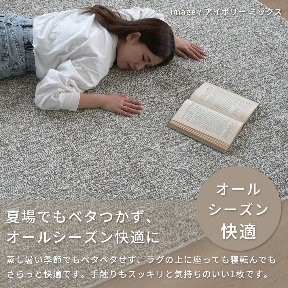 洗える抗菌防臭防ダニ ミックスラグ  手洗いOK 滑り止め付