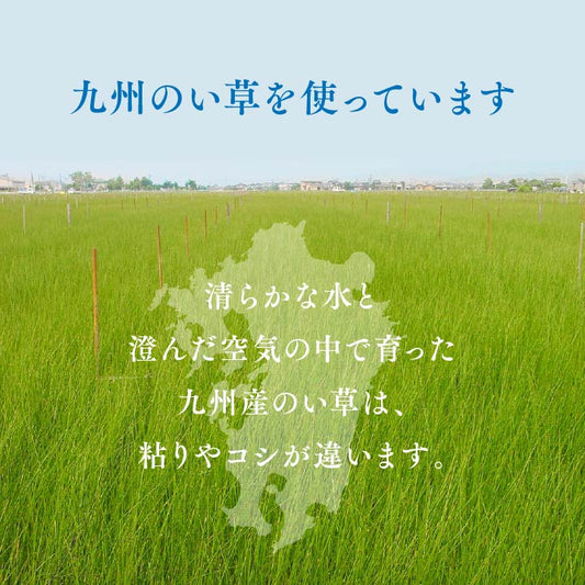 九州産い草使用の汚れに強くお手入れカンタン 双目織 い草上敷きカーペット 対応サイズ：江戸間・本間・ 団地間・三六間・六一間