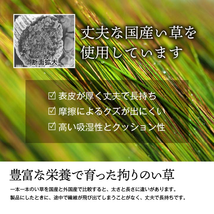 上質な国産い草をふんだんに使った 双目織 い草上敷きカーペット 対応サイズ：江戸間