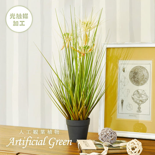 ヨーロッパで人気の新感覚グリーン！アーティフィシャルグリーン【人工観葉植物】オシャレで枯れない人工観葉植物 サニーグラス