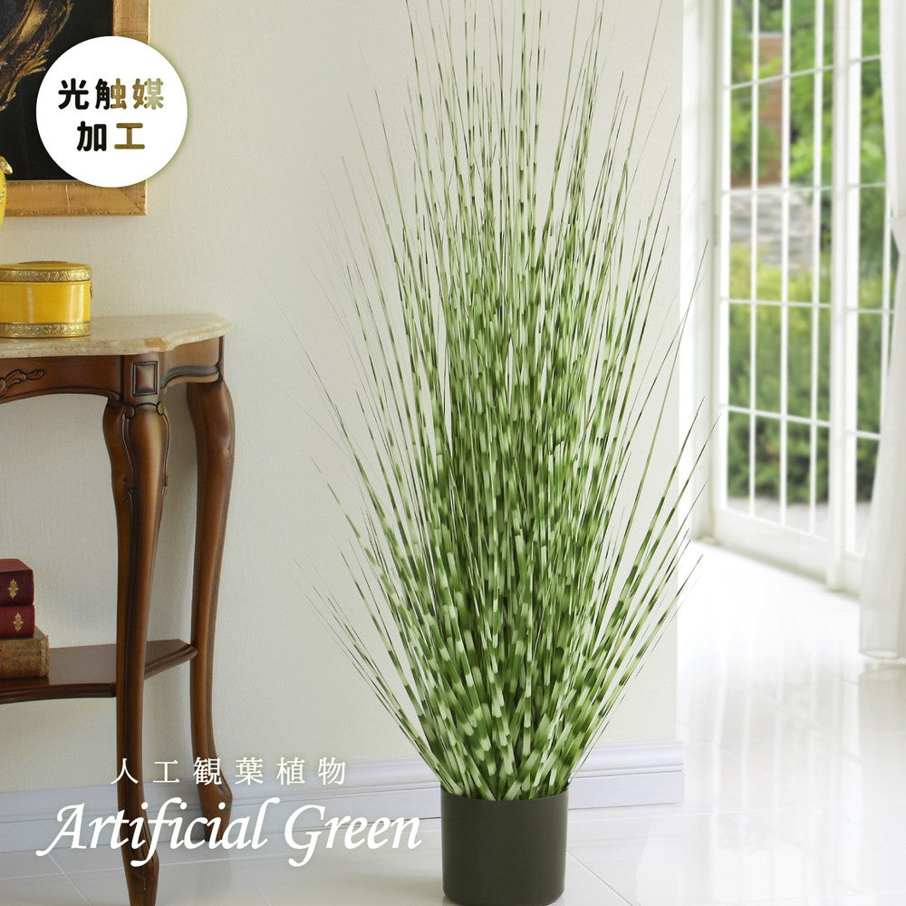 ヨーロッパで人気の新感覚グリーン！アーティフィシャルグリーン【人工観葉植物】オシャレで枯れない人工観葉植物 ゼブラグラス
