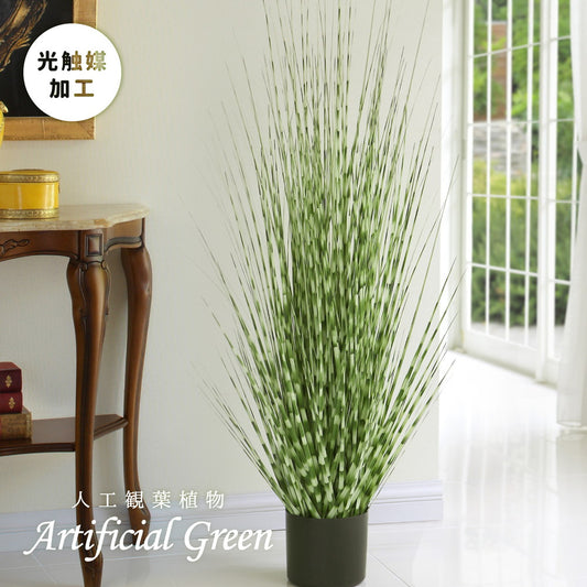 ヨーロッパで人気の新感覚グリーン！アーティフィシャルグリーン【人工観葉植物】オシャレで枯れない人工観葉植物 ゼブラグラス