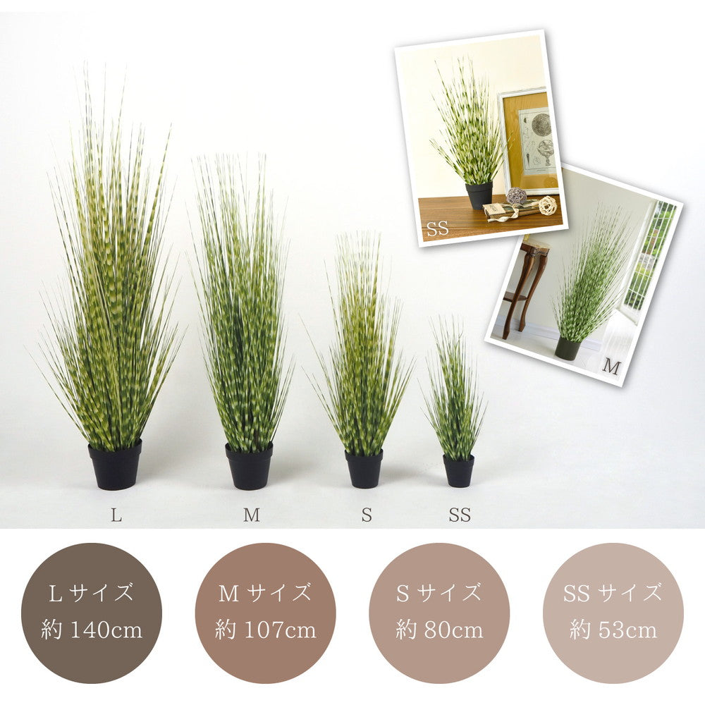 ヨーロッパで人気の新感覚グリーン！アーティフィシャルグリーン【人工観葉植物】オシャレで枯れない人工観葉植物 ゼブラグラス