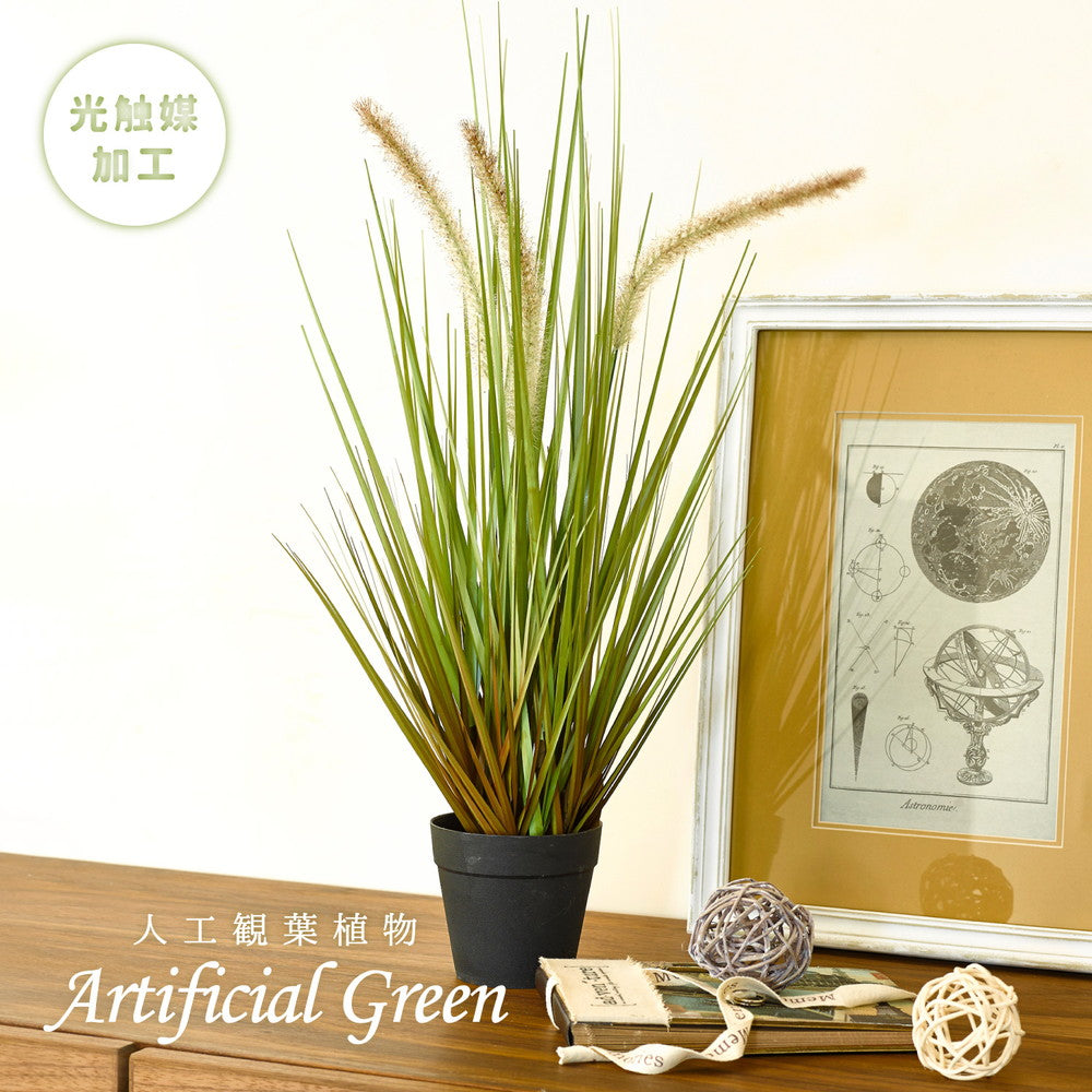 ヨーロッパで人気の新感覚グリーン！アーティフィシャルグリーン【人工観葉植物】オシャレで枯れない人工観葉植物 キャッツテールグラス