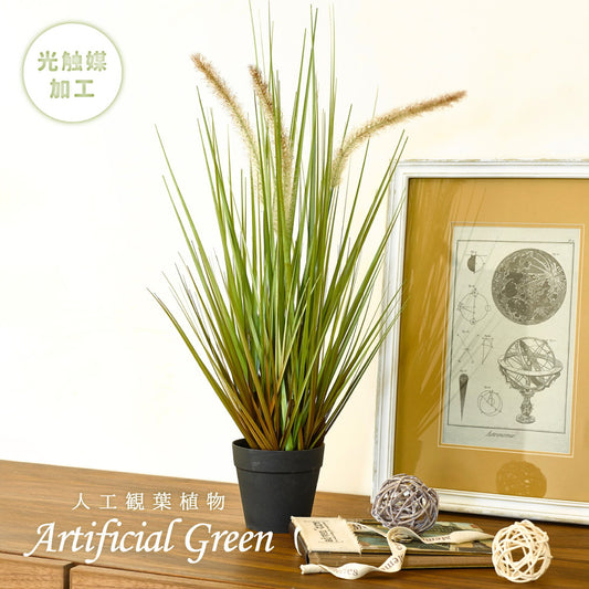 ヨーロッパで人気の新感覚グリーン！アーティフィシャルグリーン【人工観葉植物】オシャレで枯れない人工観葉植物 キャッツテールグラス