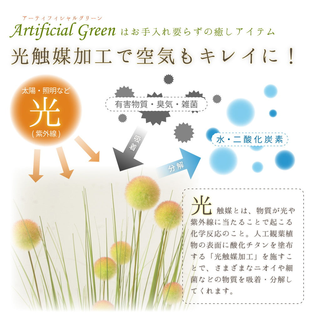 ヨーロッパで人気の新感覚グリーン！アーティフィシャルグリーン【人工観葉植物】オシャレで枯れない人工観葉植物 キャッツテールグラス