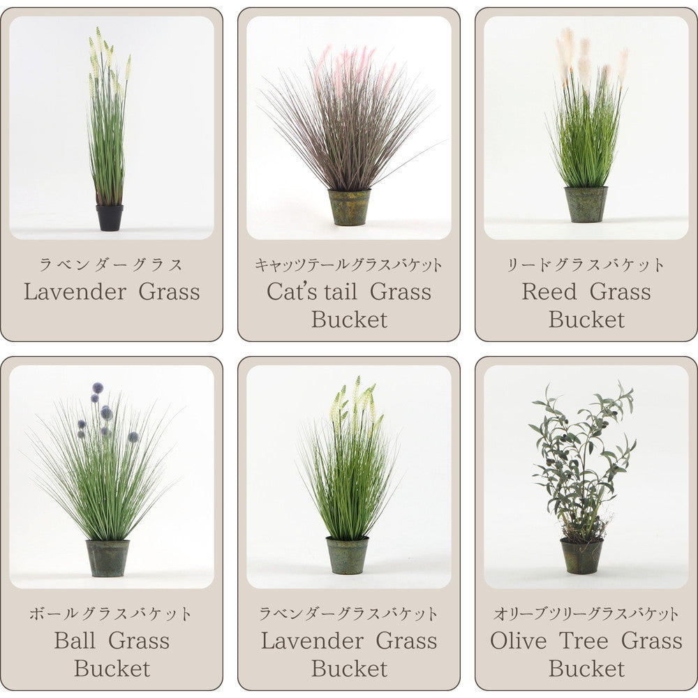 シャビーなバケツ入りでオシャレ度アップ♪バケツシリーズ！オシャレで枯れない人工観葉植物 キャッツテールグラスバケット