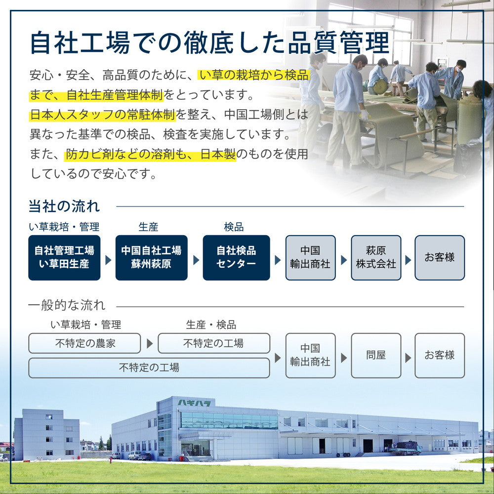 床に並べるだけで簡単に畳のスペースが作れるアジアンテイストの置き畳 南風