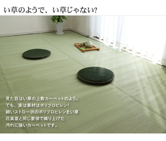 お手入れカンタン！洗えるい草調カーペット『五木』