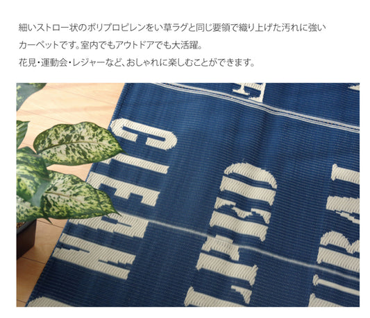 水洗いできるレジャーシート トリド 約174×174cm