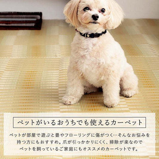 汚れても水洗いができる日本製カーペット！ペットを飼っているご家庭にもオススメです