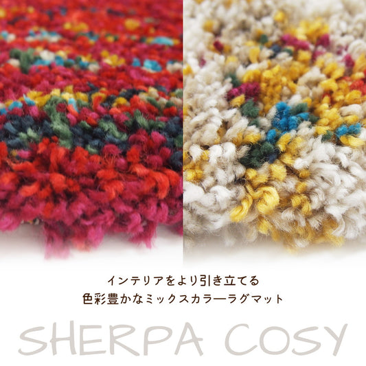 インテリアをより引き立てるミックスカラーの長毛ウィルトンラグマット！ウィルトン織の玄関マット　SHERPA COZY