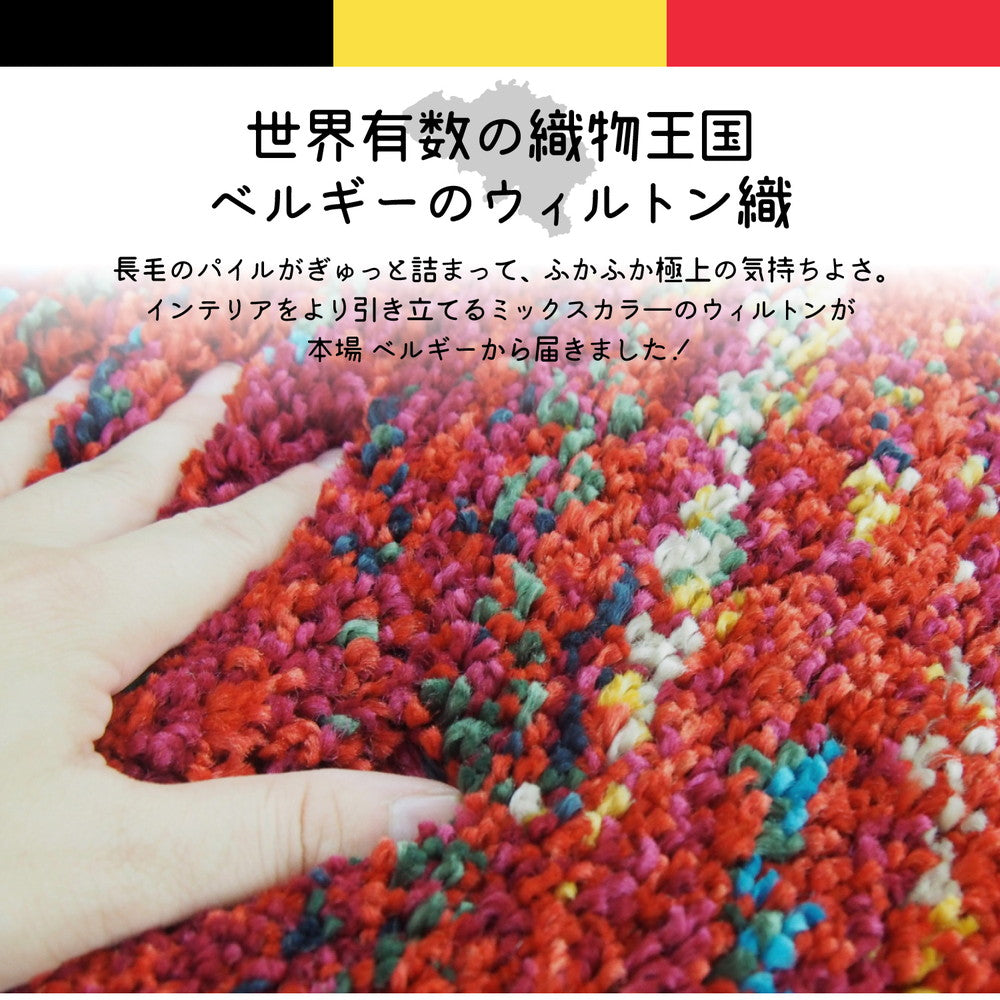 インテリアをより引き立てるミックスカラーの長毛ウィルトンラグマット！ウィルトン織の玄関マット　SHERPA COZY