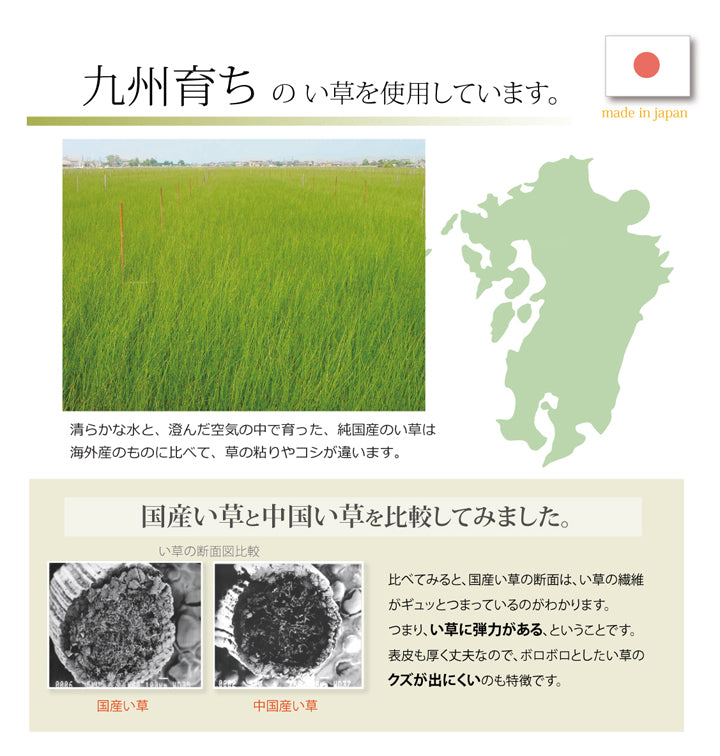 国産い草枕『おふくろの枕 くぼみ平枕』 約50×30cm 中材:低反発ウレタンチップ