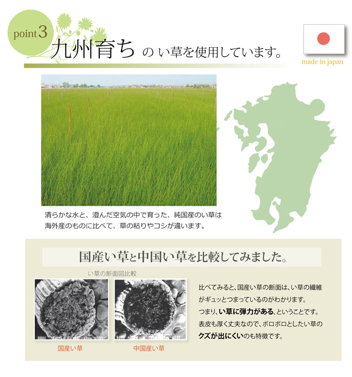 中材に低反発ウレタンチップを使用した低反発い草枕 『マリータ くぼみ平枕』約50×30cm