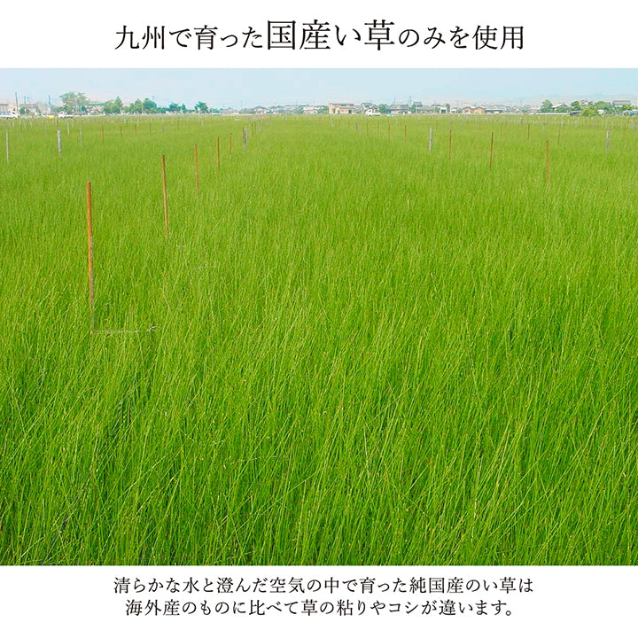 様々な表情の織りが重なったモダンなデザインの日本製い草廊下敷きマット