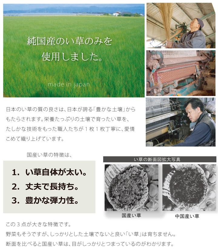 カジュアルモダンに夏をくつろぐ 純国産 草ラグカーペット ブロック
