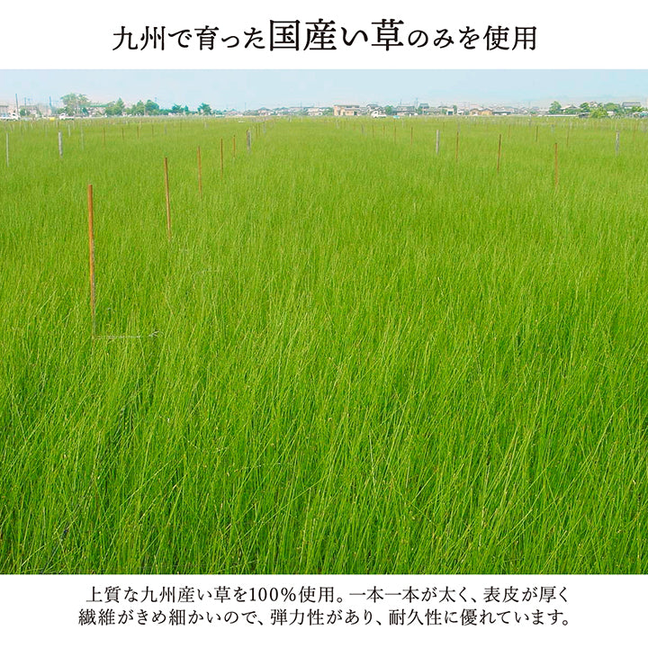 福岡県筑後地方の無形文化財「掛川織」の技法で織り上げた 花ござ い草カーペット