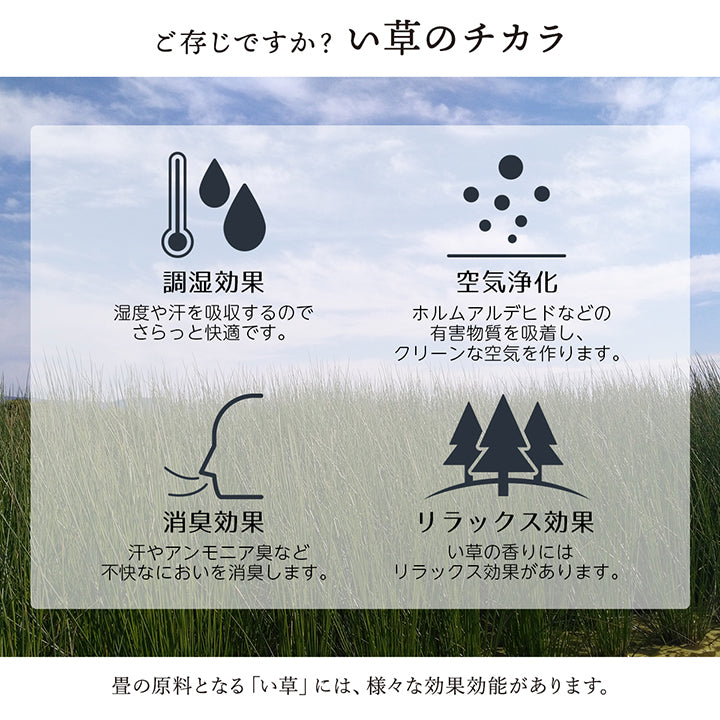 福岡県筑後地方の無形文化財「掛川織」の技法で織り上げた 花ござ い草カーペット