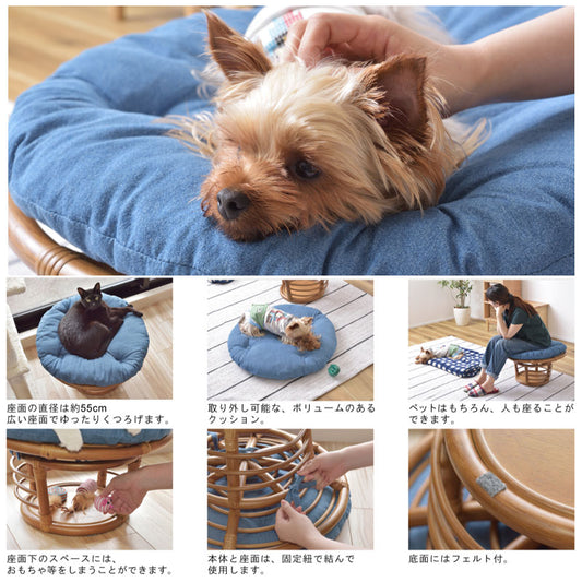 ペットはもちろん人も座ることができるペットスツール