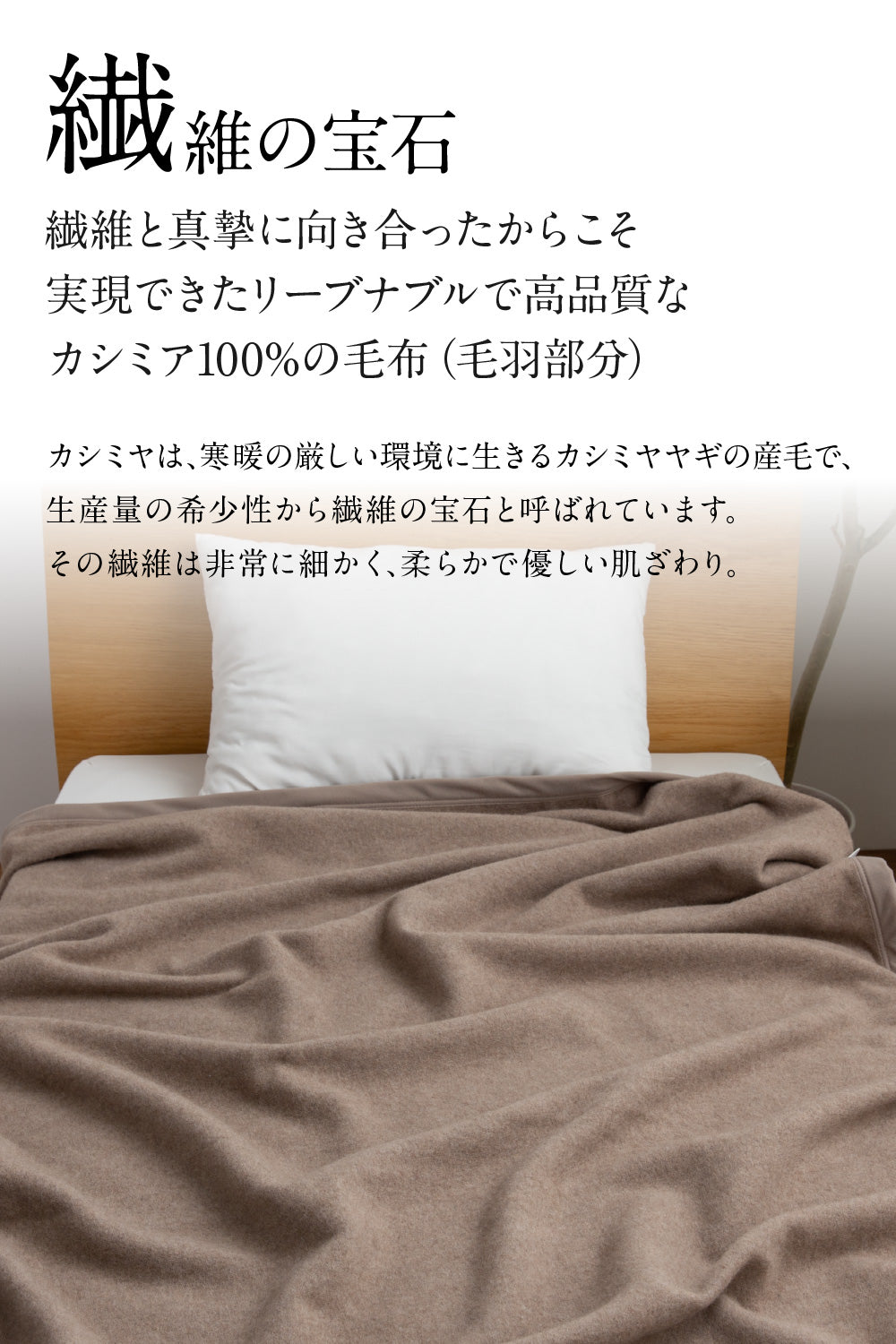 カシミア100％（毛羽部分） 毛布 シングル