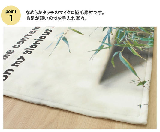 人気のアニマル柄をデジタルプリントしたどうぶつラグ 約90×130cm