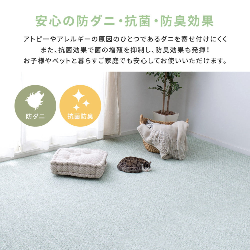 防ダニ・抗菌・防臭・はっ水・防汚・防炎！ループ仕立てのシンプルで飽きのこないカーペット