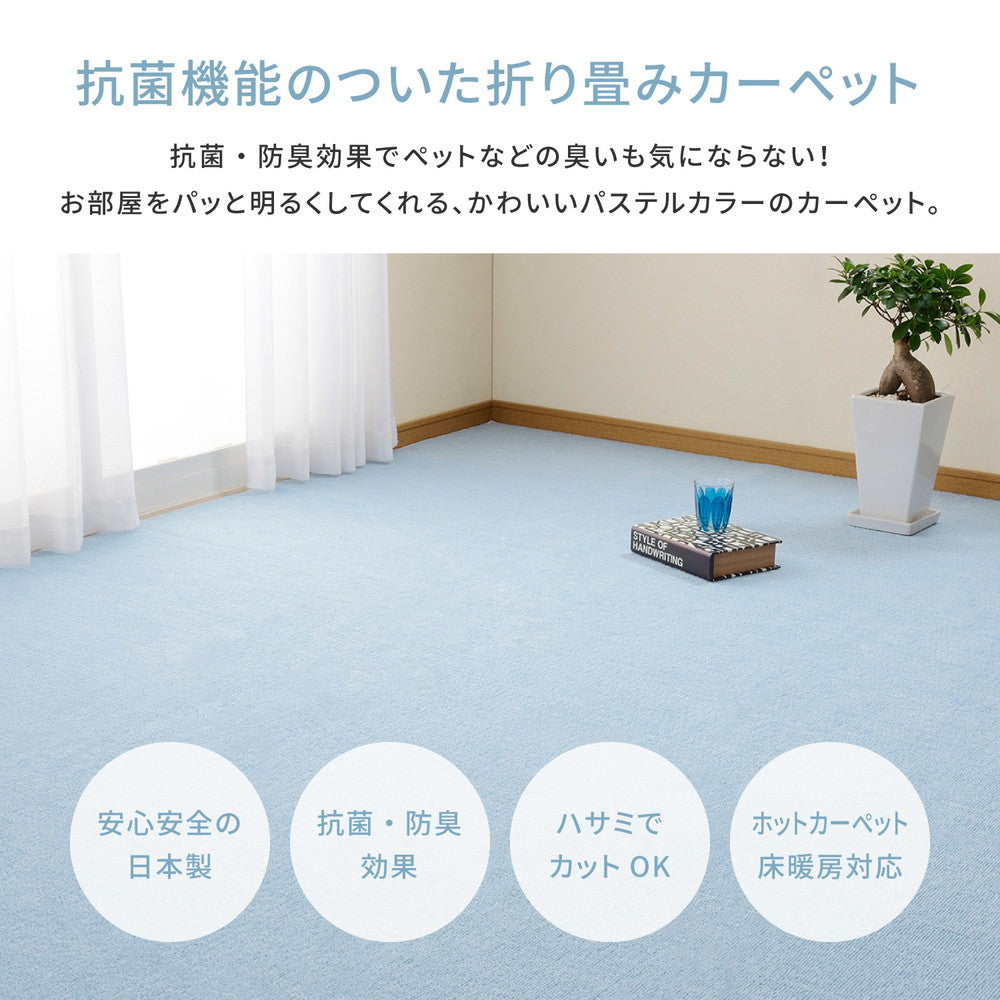 ペットなどの臭いも気にならない防臭・抗菌ループパイルの平織カーペット ミーテ